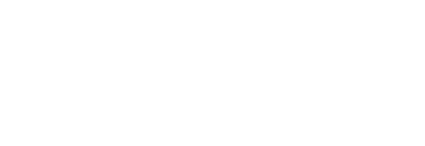 IRADAPRO Logo